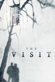 The visit