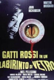 Gatti rossi in un labirinto di vetro