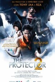 The Protector 2