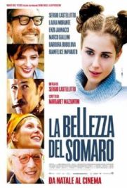 La Bellezza Del Somaro