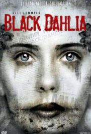 Black Dahlia