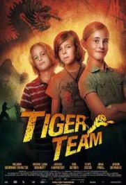 Tiger Team