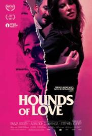 Hounds of Love