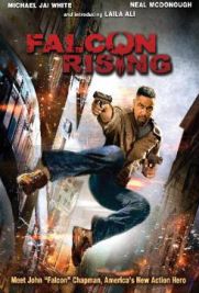 Falcon Rising