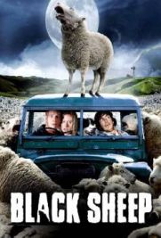 Black Sheep - Pecore assassine