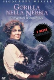 Gorilla nella nebbia