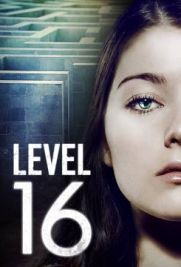 Level 16