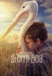 Storm Boy