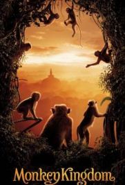 Monkey Kingdom