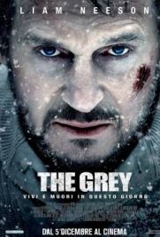 The Grey