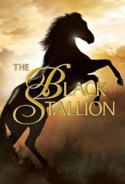 The Black Stallion