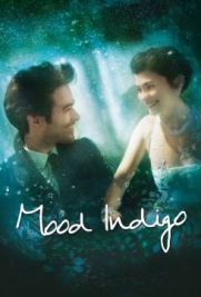 Mood indigo - La schiuma dei giorni