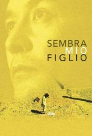 Sembra mio figlio