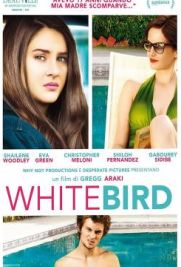 White Bird in a Blizzard