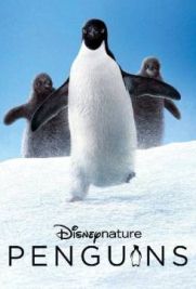 Disney Penguins