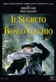 Il segreto del bosco vecchio