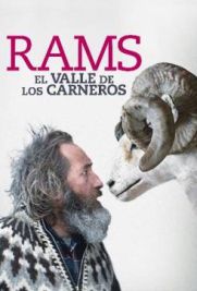 Rams - Storia di due fratelli e otto pecore