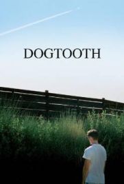 Dogtooth