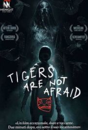 Tigers Are Not Afraid