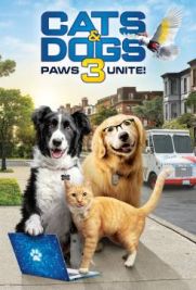 Cani e gatti 3: zampe unite