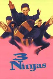 3 Ragazzi Ninja