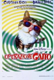 Operazione gatto