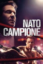 Nato campione