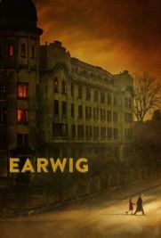 Earwig