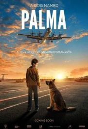 Palma – Un amore di cane