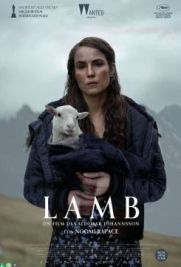 Lamb