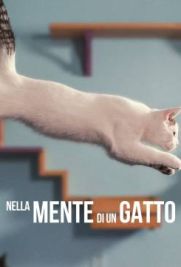 Nella mente di un gatto