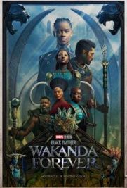 Black Panther - Wakanda Forever