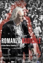 Romanzo radicale