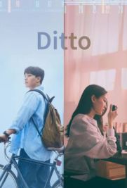 Ditto - Segui il tuo cuore