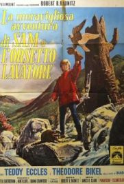 La meravigliosa avventura di Sam e l'orsetto lavatore