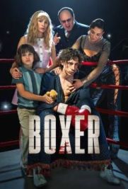 Boxer