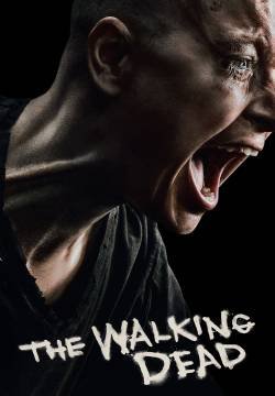 The Walking Dead - Stagione 10